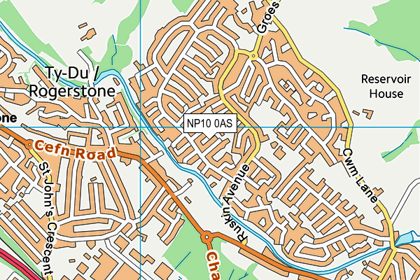 NP10 0AS map - OS VectorMap District (Ordnance Survey)