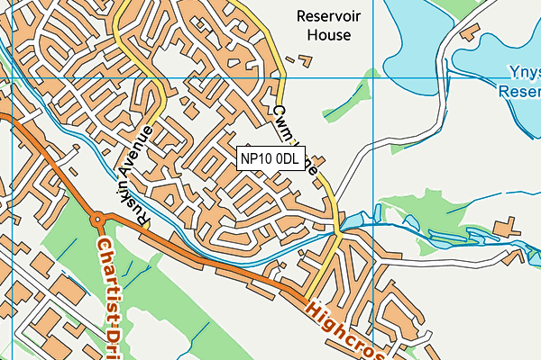 NP10 0DL map - OS VectorMap District (Ordnance Survey)