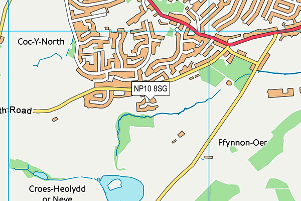 NP10 8SG map - OS VectorMap District (Ordnance Survey)