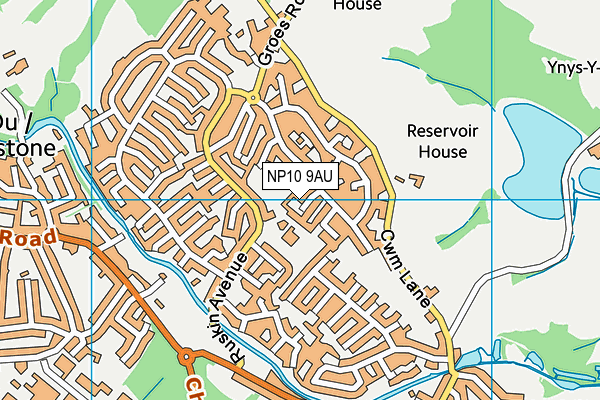 NP10 9AU map - OS VectorMap District (Ordnance Survey)