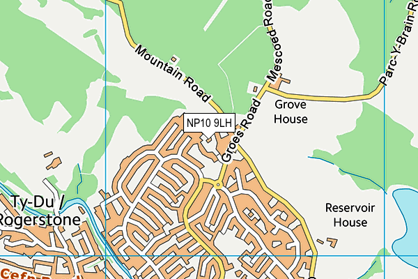 NP10 9LH map - OS VectorMap District (Ordnance Survey)