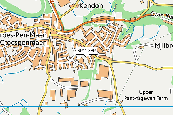 NP11 3BP map - OS VectorMap District (Ordnance Survey)