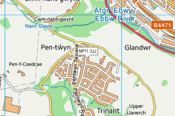 NP11 3JJ map - OS VectorMap District (Ordnance Survey)