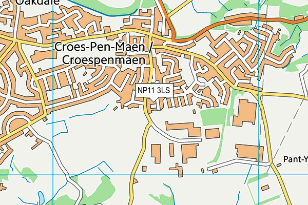 NP11 3LS map - OS VectorMap District (Ordnance Survey)