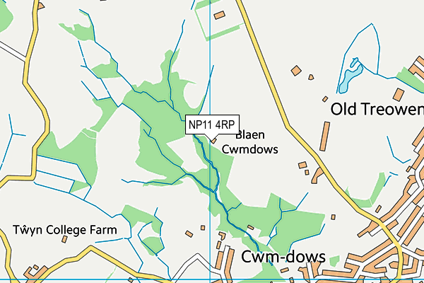 NP11 4RP map - OS VectorMap District (Ordnance Survey)