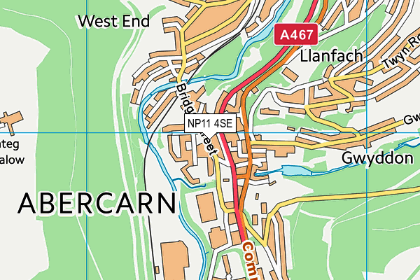 NP11 4SE map - OS VectorMap District (Ordnance Survey)