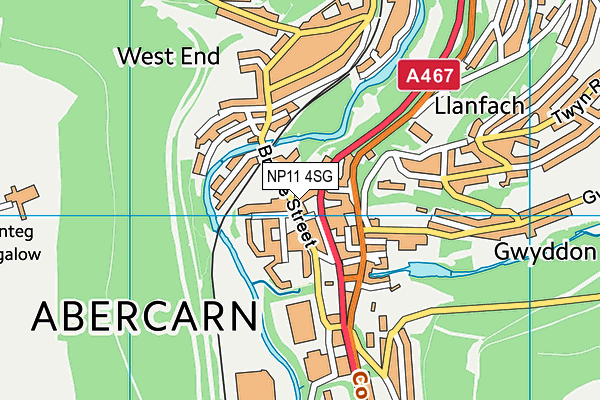 NP11 4SG map - OS VectorMap District (Ordnance Survey)