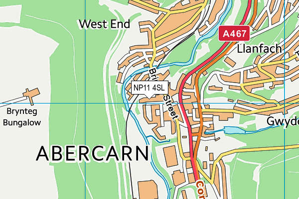 NP11 4SL map - OS VectorMap District (Ordnance Survey)