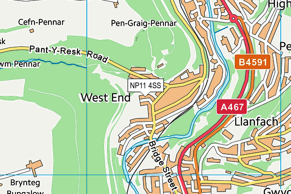 NP11 4SS map - OS VectorMap District (Ordnance Survey)