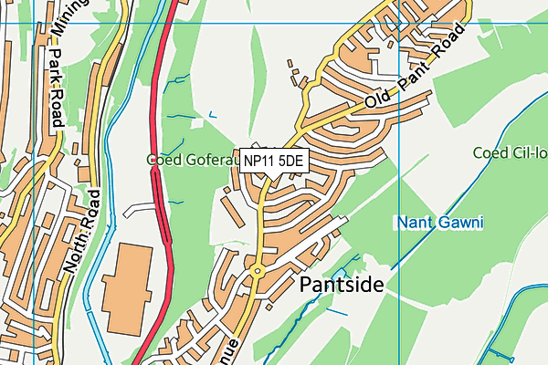 NP11 5DE map - OS VectorMap District (Ordnance Survey)