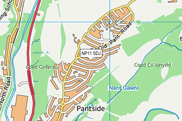 NP11 5DJ map - OS VectorMap District (Ordnance Survey)