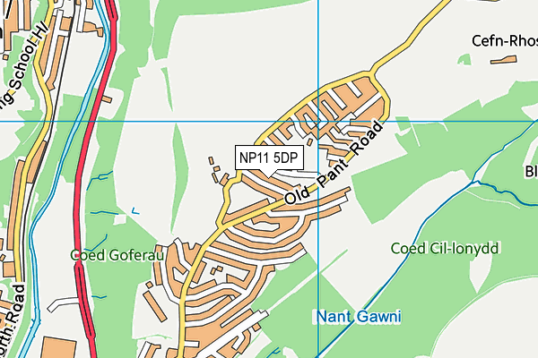 NP11 5DP map - OS VectorMap District (Ordnance Survey)