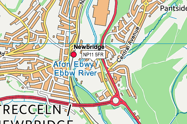 Newbridge School map (NP11 5FR) - OS VectorMap District (Ordnance Survey)