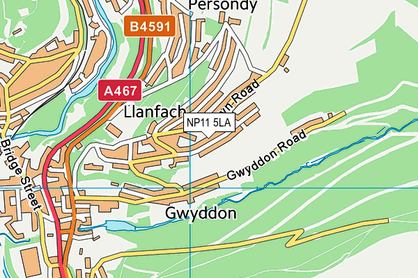 NP11 5LA map - OS VectorMap District (Ordnance Survey)