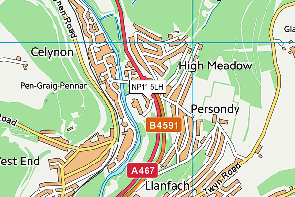 NP11 5LH map - OS VectorMap District (Ordnance Survey)