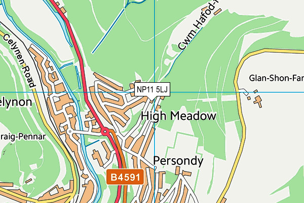 NP11 5LJ map - OS VectorMap District (Ordnance Survey)