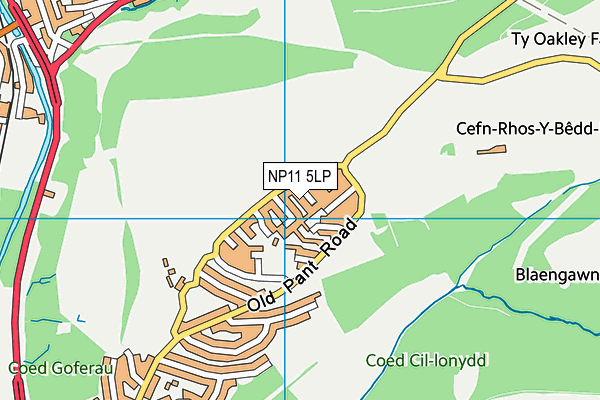 NP11 5LP map - OS VectorMap District (Ordnance Survey)