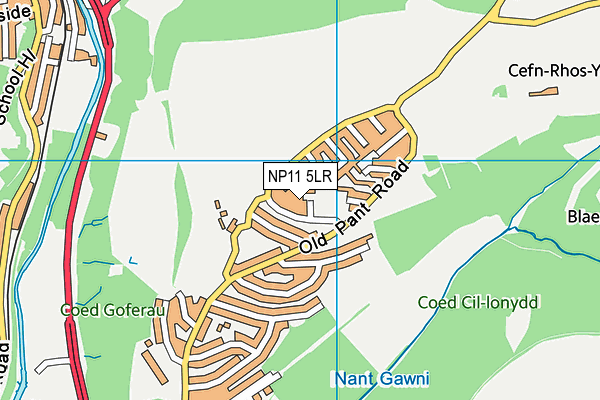 NP11 5LR map - OS VectorMap District (Ordnance Survey)