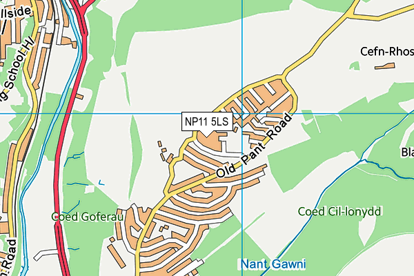 NP11 5LS map - OS VectorMap District (Ordnance Survey)