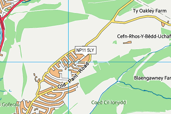 NP11 5LY map - OS VectorMap District (Ordnance Survey)