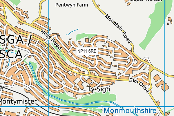 NP11 6RE map - OS VectorMap District (Ordnance Survey)
