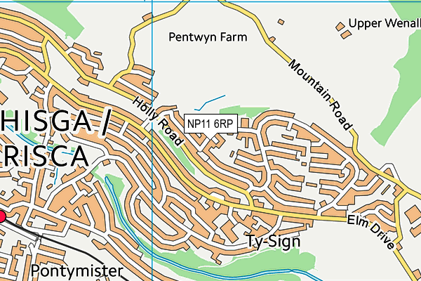 NP11 6RP map - OS VectorMap District (Ordnance Survey)