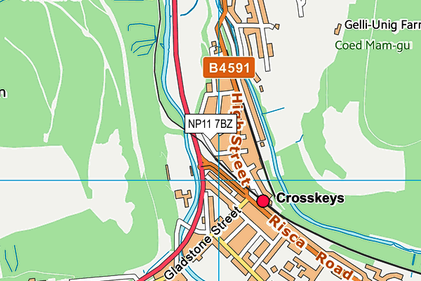 NP11 7BZ map - OS VectorMap District (Ordnance Survey)