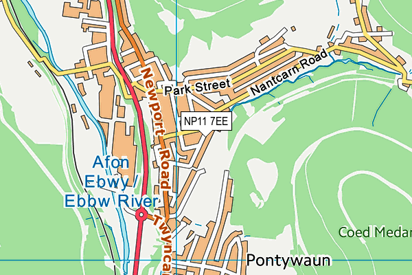 NP11 7EE map - OS VectorMap District (Ordnance Survey)