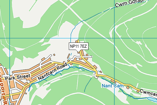 NP11 7EZ map - OS VectorMap District (Ordnance Survey)