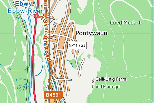 NP11 7GJ map - OS VectorMap District (Ordnance Survey)