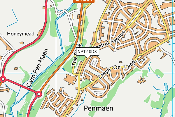 NP12 0DX map - OS VectorMap District (Ordnance Survey)