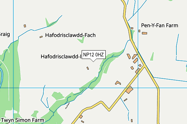 NP12 0HZ map - OS VectorMap District (Ordnance Survey)