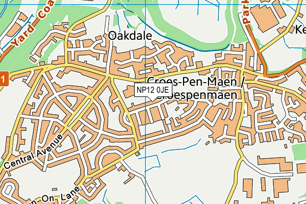NP12 0JE map - OS VectorMap District (Ordnance Survey)