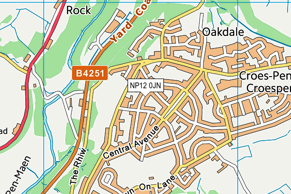NP12 0JN map - OS VectorMap District (Ordnance Survey)