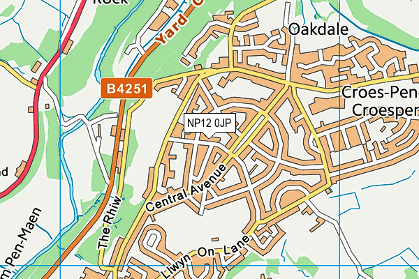 NP12 0JP map - OS VectorMap District (Ordnance Survey)
