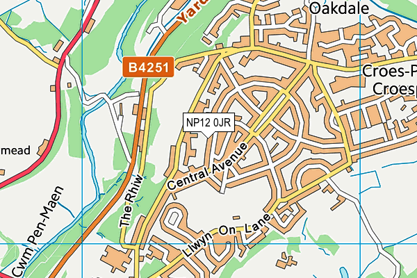 NP12 0JR map - OS VectorMap District (Ordnance Survey)