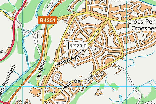 NP12 0JT map - OS VectorMap District (Ordnance Survey)