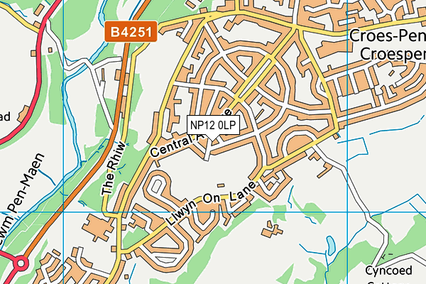 NP12 0LP map - OS VectorMap District (Ordnance Survey)