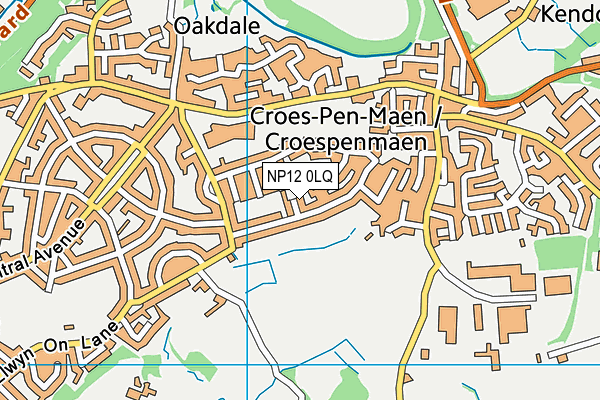 NP12 0LQ map - OS VectorMap District (Ordnance Survey)