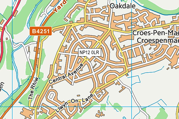 NP12 0LR map - OS VectorMap District (Ordnance Survey)