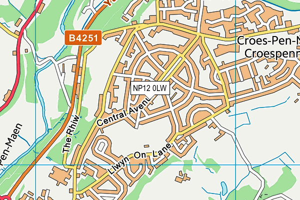 NP12 0LW map - OS VectorMap District (Ordnance Survey)