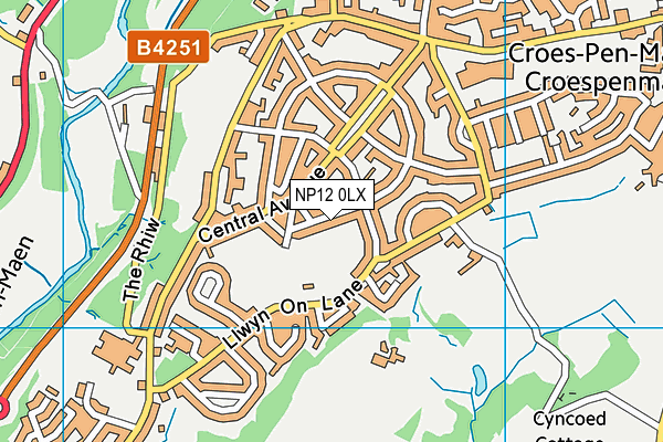 NP12 0LX map - OS VectorMap District (Ordnance Survey)