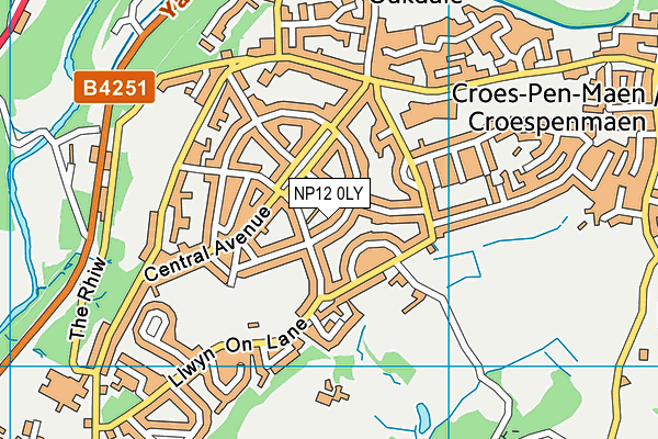 NP12 0LY map - OS VectorMap District (Ordnance Survey)