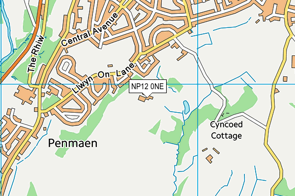 NP12 0NE map - OS VectorMap District (Ordnance Survey)