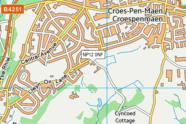 NP12 0NF map - OS VectorMap District (Ordnance Survey)