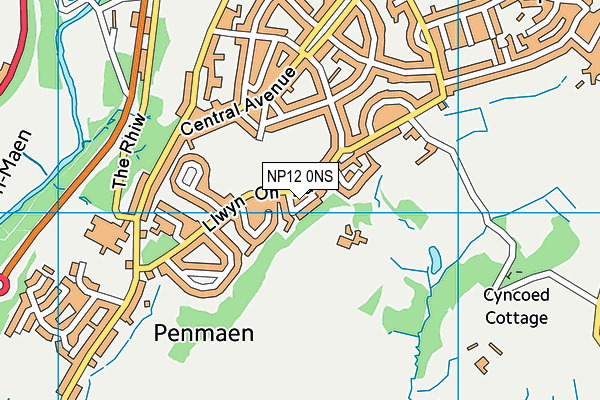 NP12 0NS map - OS VectorMap District (Ordnance Survey)