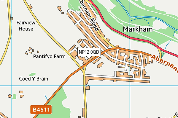 Markham Primary School map (NP12 0QD) - OS VectorMap District (Ordnance Survey)