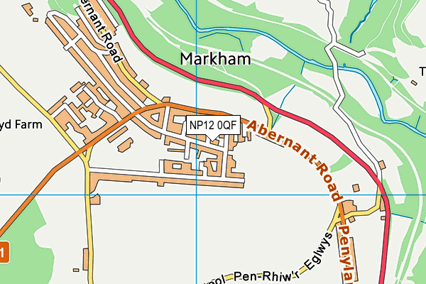 NP12 0QF map - OS VectorMap District (Ordnance Survey)