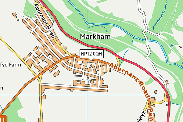 NP12 0QH map - OS VectorMap District (Ordnance Survey)