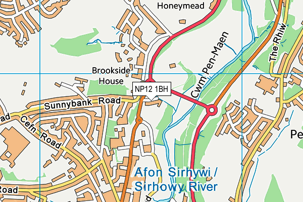 NP12 1BH map - OS VectorMap District (Ordnance Survey)